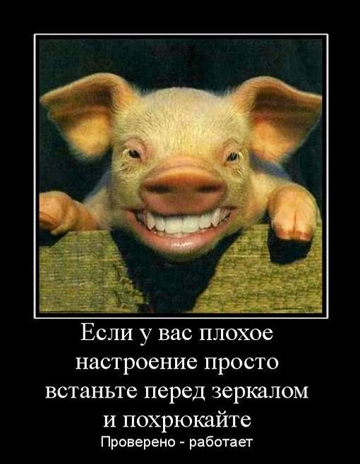 Если у вас плохое настроение просто встаньте перед зеркалом И похрюкайте Проверено работает