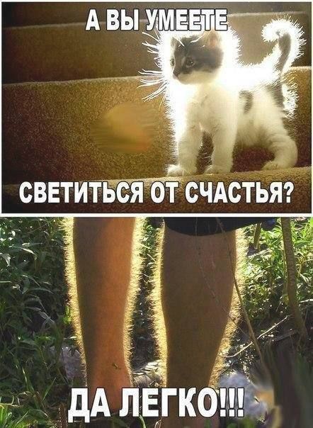 дАлвгкоЁЪ