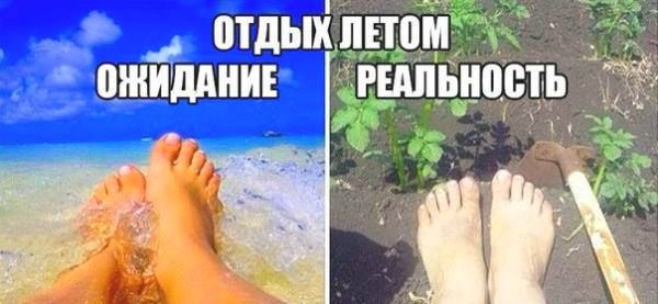 отдыхппом РЕАЛЬНВВТЬ