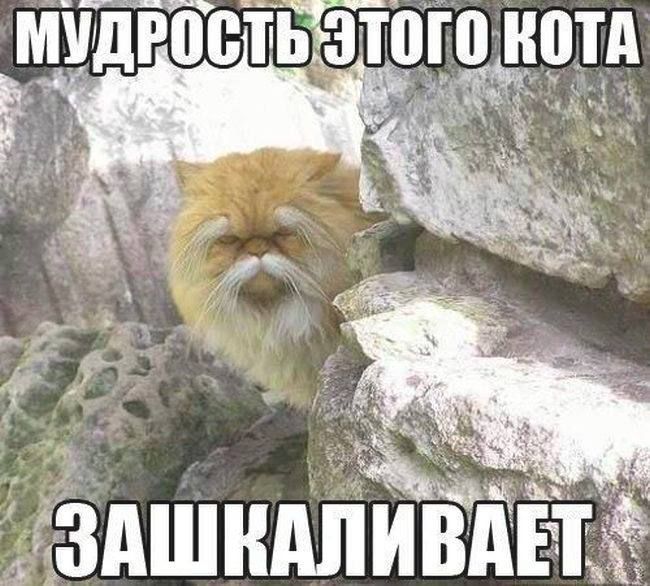 аздШНАПИВдЕЪт