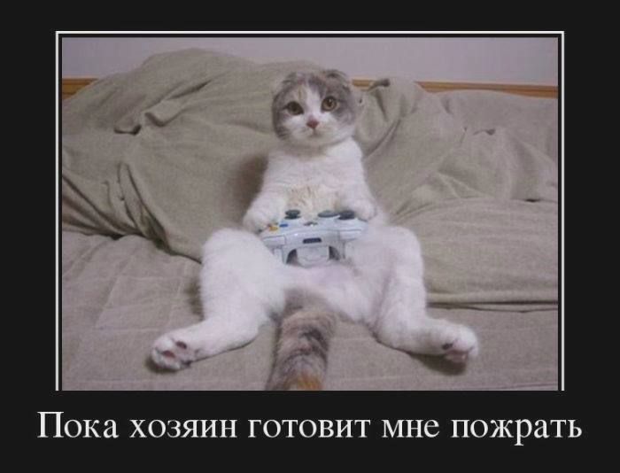 Пока ХОЗЯИН ГОТОВИТ МНб пожрать