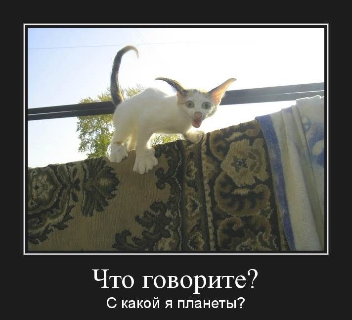 Что говорите С какой я планеты