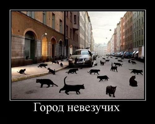 Город невезучих