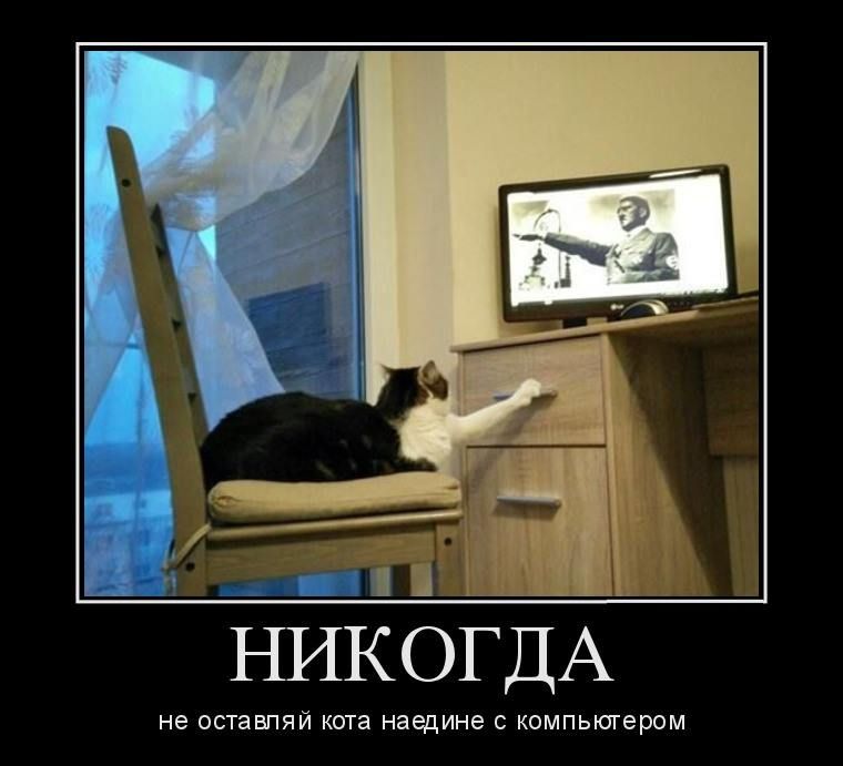 НИКОГДА не оставпяй КОТЗ наедине С КОМПЬЮТерОМ