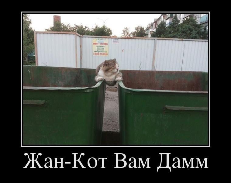 Жан Кот ВаМ ДаММ