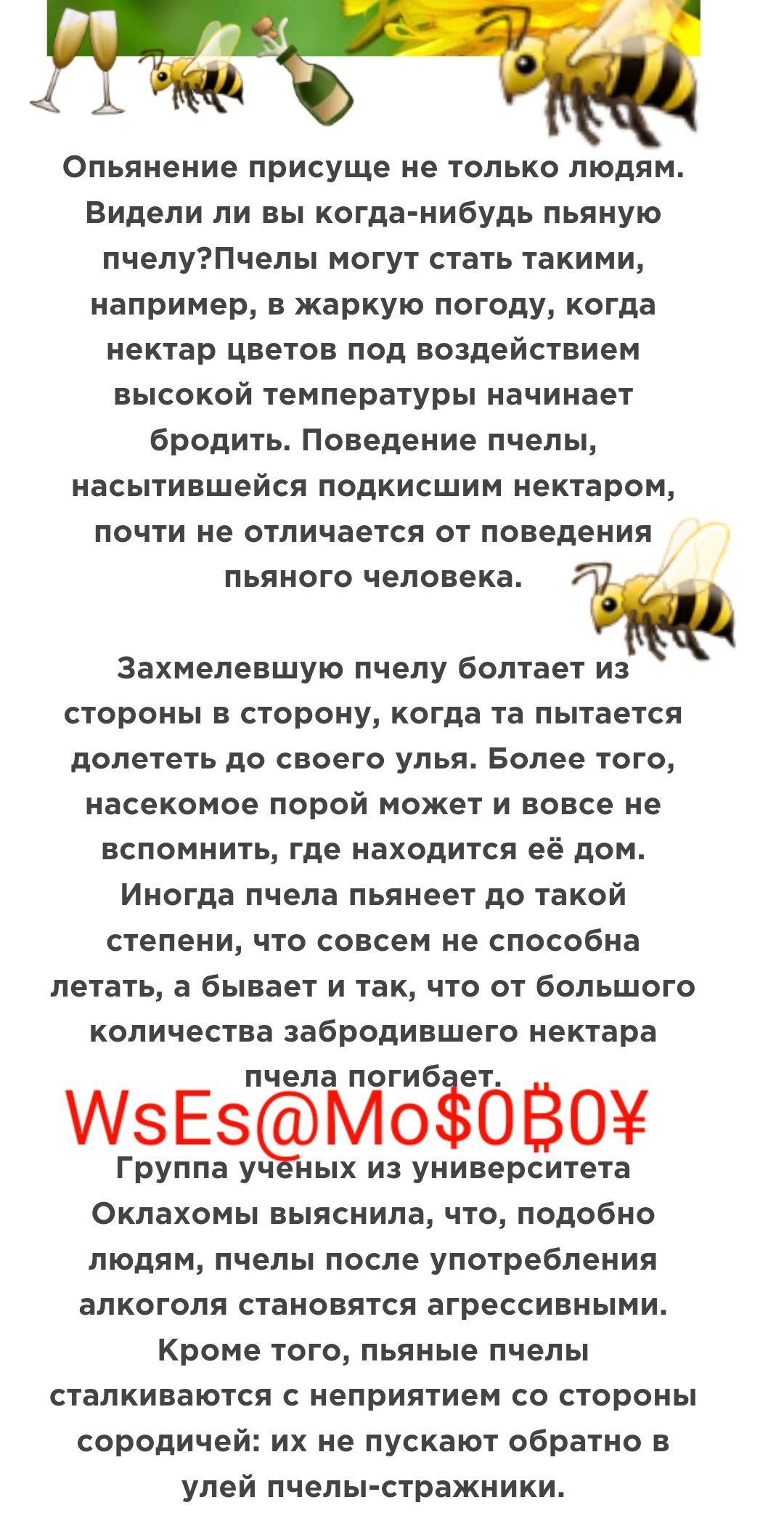Опьянение присуще не только людям Видели ли вы когда нибудь пьяную пчелуПчелы могут стать такими например в жаркую погоду когда нектар цветов под воздействием высокой температуры начинает бродить Поведение пчелы насытившейся подкисшим нектаром почти не отличается от поведения ПЬЯНОГО человека Захмелевшую пчепу болтает из стороны в сторону когда та пытается долететь до своего УПЬЯ Более ТОГО насеко