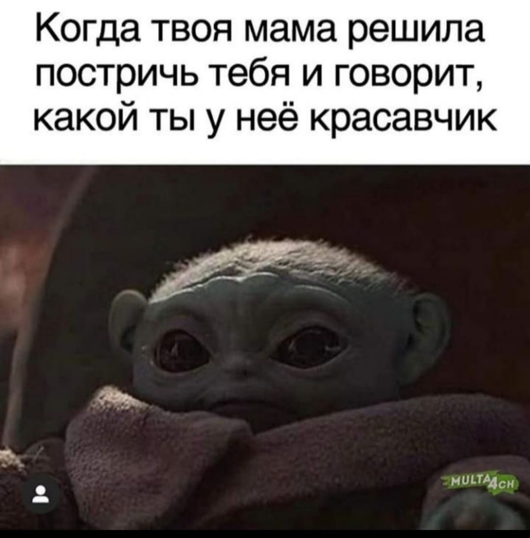 Когда твоя мама решила постричь тебя и говорит какой ты у неё красавчик минц