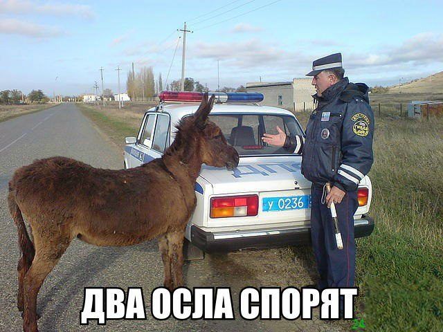 двдоепд спорит