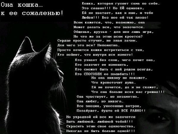 0 Ш и к за жизнь З и ЁДТДЁ Т о _