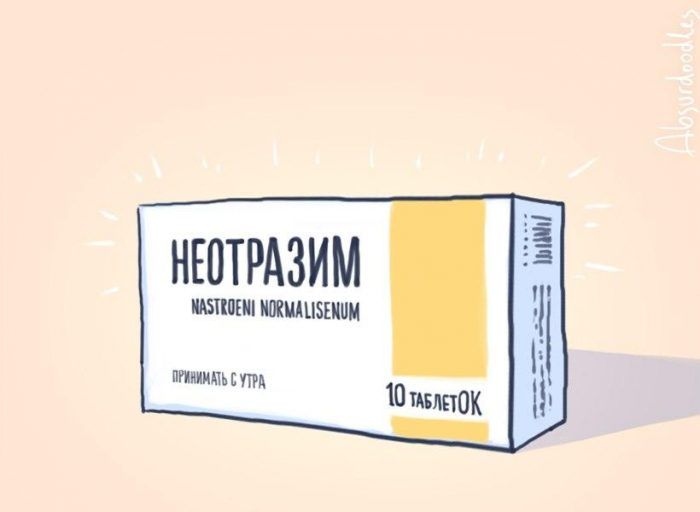 НЮТРАЗИМ шпики шщпзши итти г т щиток