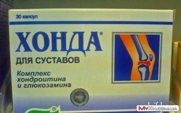 Комплекс хондроитима и ыюкозамииа