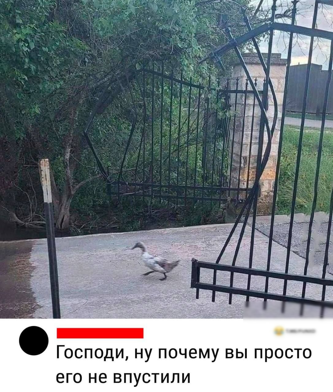 ГОСПОДИ Ну ПОЧЕМУ ВЫ ПРОСТО его не ВПУСТИЛИ