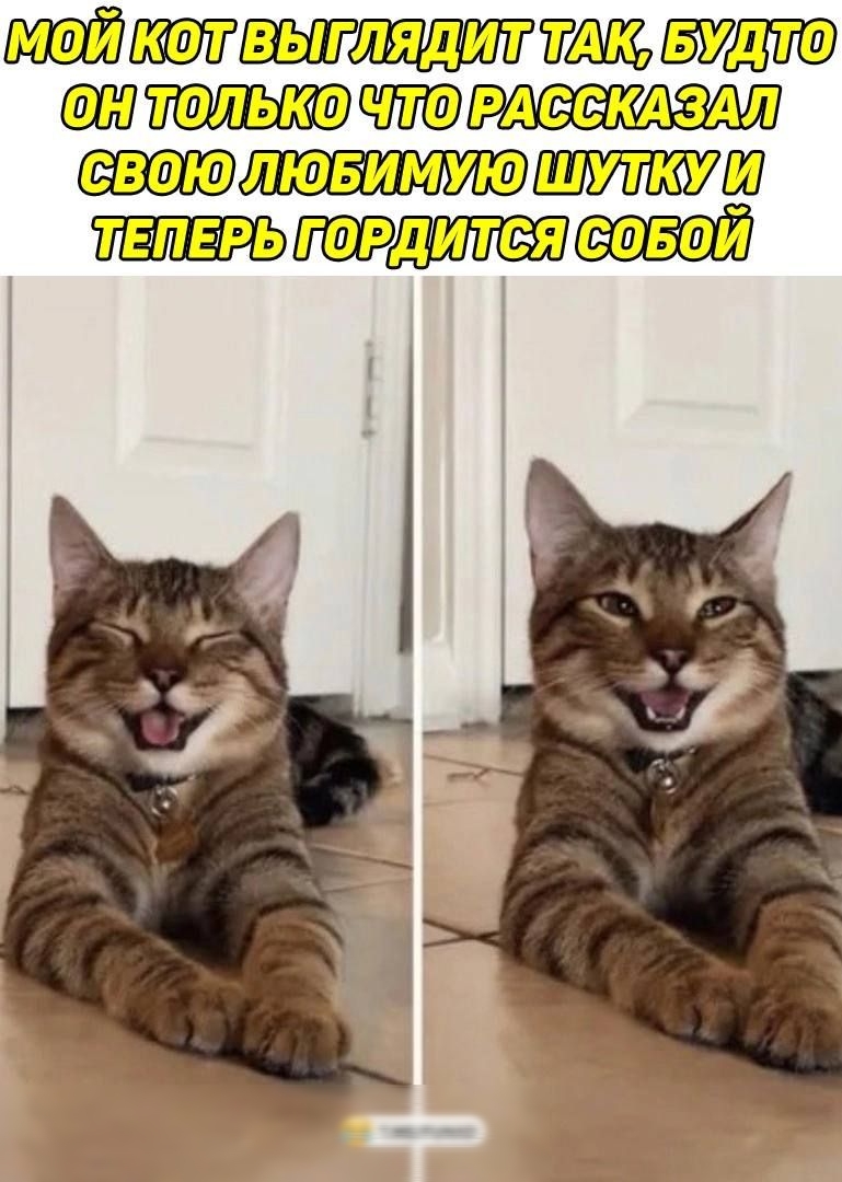 ЩБЁУ тапшт шититти