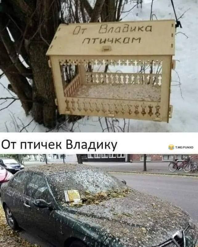 тп 77111К1Г дцёд От птичек Владику ЖТЙ
