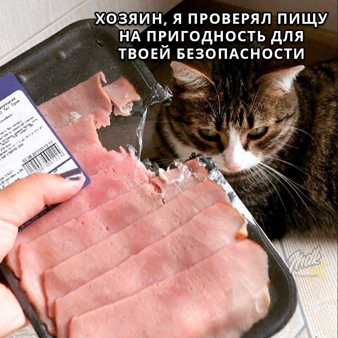 ХОЗИН Я ПРОВЕРЯЛ ПИЩУ НА ПЕИГОДНОСТЬ дЛЯ ТВОЕИ БЕЗОПАСНОСТИ и _в