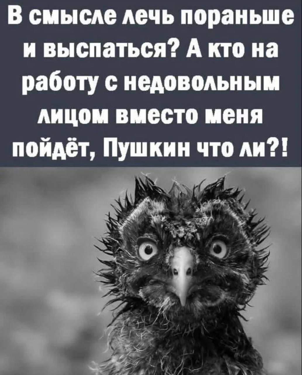 В смысле ночь пораньше н выспаться А кто на работу с недовольным шпон виссто исня пойдёт Пушкин что ни