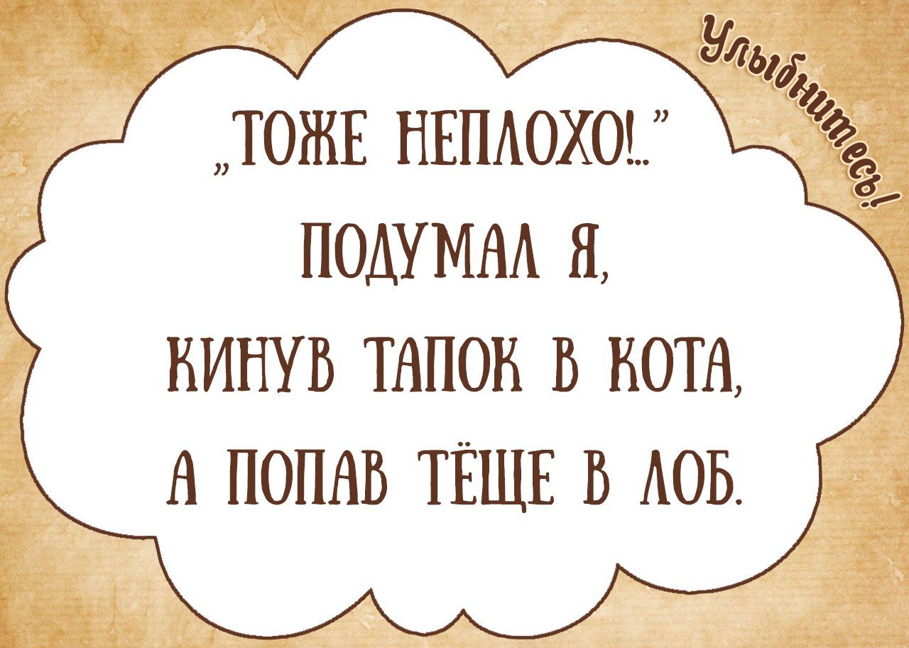 ТОЖЕ НЕПАОХОЕ ПОАУМАА Я ИИНУБ ТАЛОН В КОТА Н ПОПАВ ТЁЩЕ В АОБ_