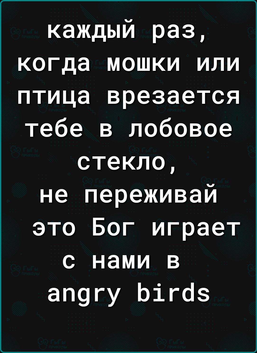 каждый раз когда мошки или птица врезается тебе в лобовое стекло не переживай это Бог играет с нами в ап9гу Ьігаз