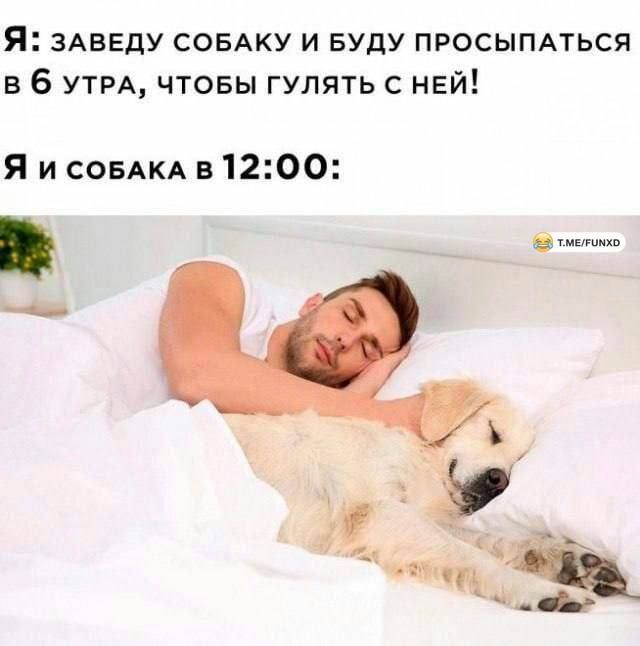 Я ЗАЕЕдУ ссыку и Буду просыпмься в 6 УТРА чтовы гулять с ней Я и СОБАКА в1200