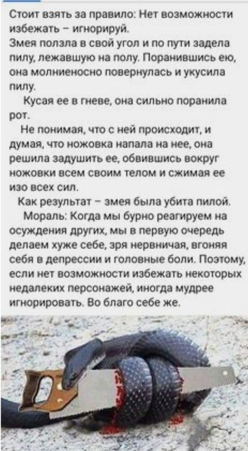 Стоиг взять за правило Ни возможнос избежать ипюрируй Змея попала в свой угол и по пути задела пилу лежавшую на полу Пооанившись ею она молниеносно повернулась и укусила пилу Кусая ее в гневе она сильно поранила рог Не понимая что с ней происходиг и думая чго ножовка напала на нее она решила задушигь ее обвившись вокруг ножовки всем своим гелом и сжимая ее изо всех сил Как резупыат змея была убига