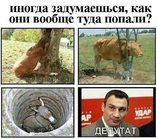 пнш да задумаешься как они вообще туда попали