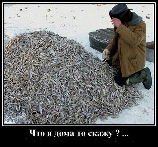 Что я дома то сюнну