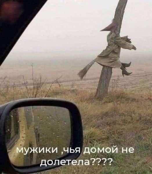 мужики чья домой не долетела