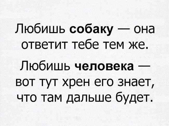Любишь собаку она ответит тебе тем же Любишь человека вот тут хрен его знает что там дальше будет