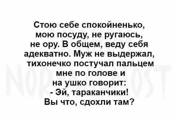 Стою себе спокойненько мою посуду не ругаюсь не ору В общем веду себя адекватно Муж не выдержал тихонечко постучал пальцем мне по голове и на ушко говорит эй тараканчики Вы что сдохли там