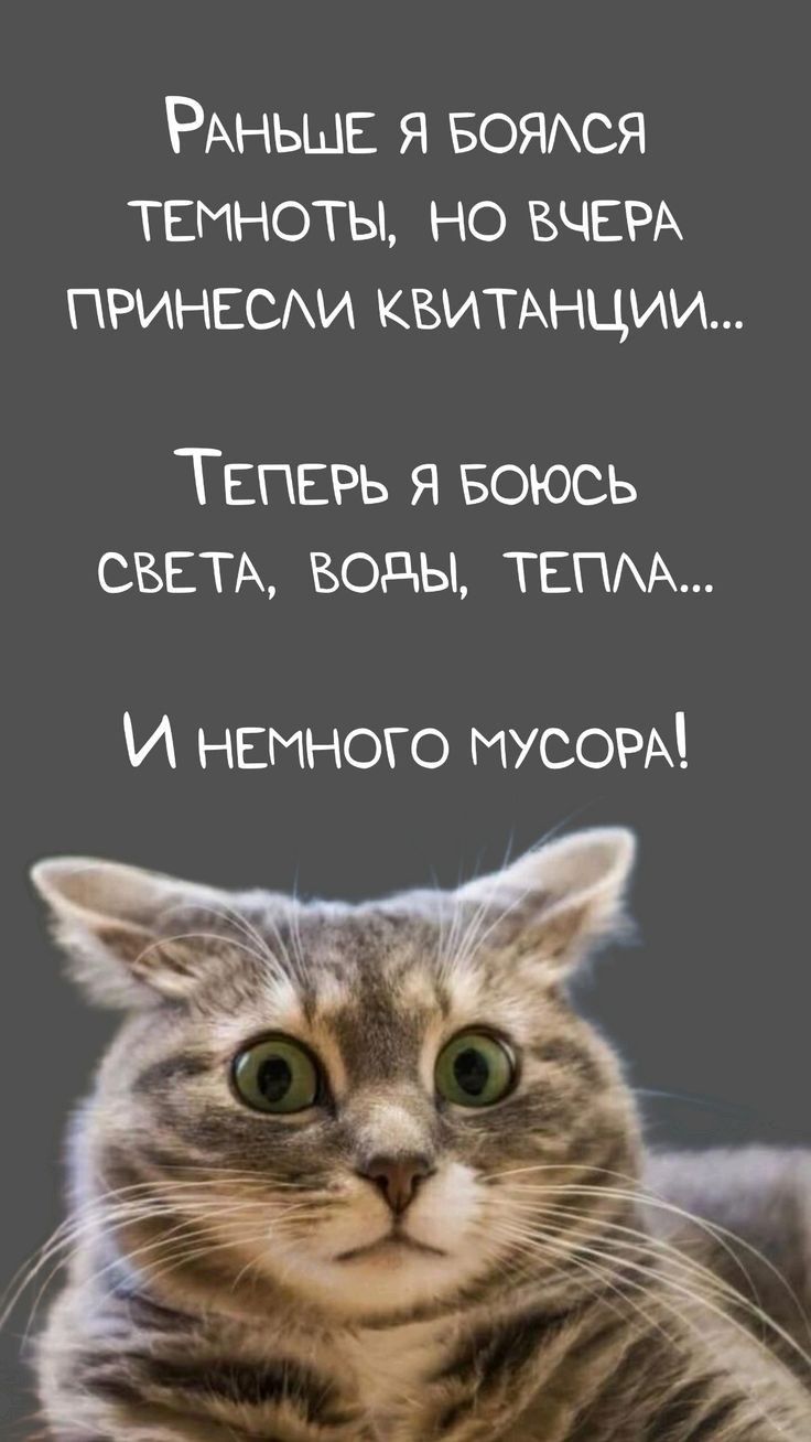 РАНЬШЕ я БОЯАся ТЕМНОТЫ НО ВЧЕРА ПРИНЕСАИ квипнции ТЕПЕРЬ я БОЮСЬ СВЕТА воды ТЕПАА И НЕМНОГО МУСОРА