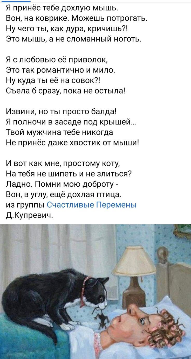 Я принёс тебе дохлую мышь Вон на коврике Можешь потрогать Ну чего ты как дура кричишь Это мышь а не сломанный ноготь Я слюбовью её приволок Это так романтично и мило Ну куда ты её на совок Съела 6 сразу пока не остыла Извини но ты просто балда Я полночи в засаде под крышей Твой мужчина тебе никогда Не принёс даже хвостик от мыши И вот как мне прост