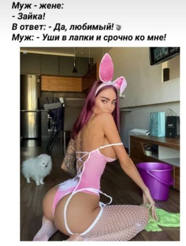 Муж жене Зайка В ответ Да любимый Муж Уши лапки и срочно ко мне