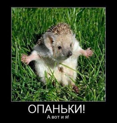 ОпАньКИ Авот и я