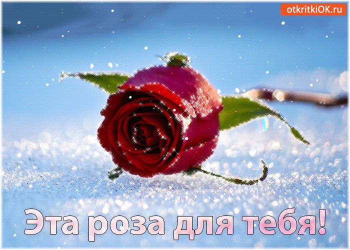 ОККгМіОКжи