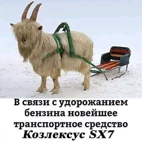 В связи с удорожанием бензина новейшее транспортное средство Козлексус ЗХ 7
