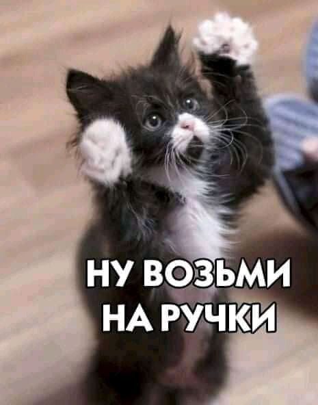 НУ ВОЗЬМИ НА РУНКИ