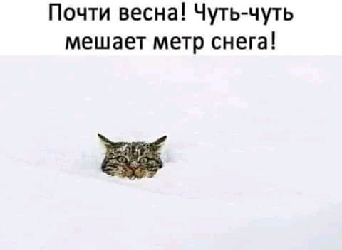 Почти весна Чуть чуть мешает метр снега