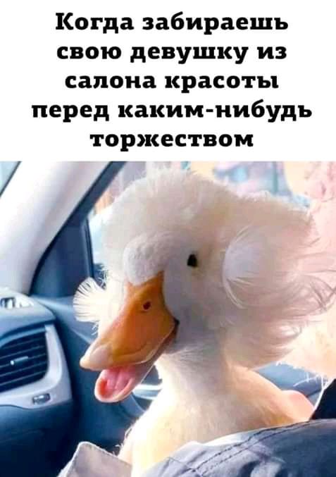 Когда забираешь свою девушку из салона красоты перед каким нибудь торжеством