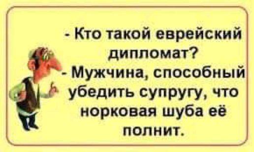 Кто такой еврейский дипломат Мужчина способный убедить супругу что норковая шуба её попнит