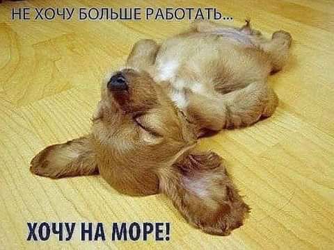 хочу нд морг Е дЕРАвотщь д