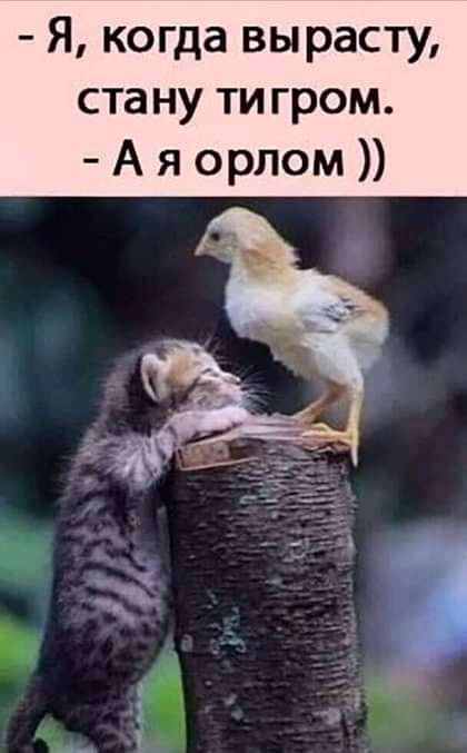 Я когда вырасту ста ну ти гром А я орлом