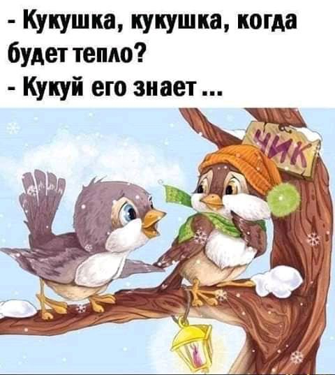 Кукушка кукушка когда будет тепло Кукуй его знает
