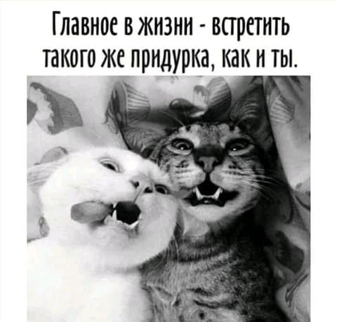 Главное ВЖИЗНИ встретить такого же придуркуа_ как И ТЫ