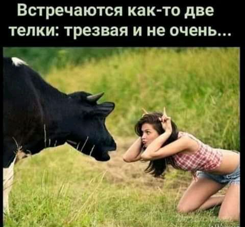 Встречаются как то две телки трезвая и не очень