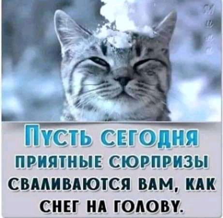 ГРЦ СЕГОДіГ приятные сюрпризы СНЕГ ГА ГОГГОШ