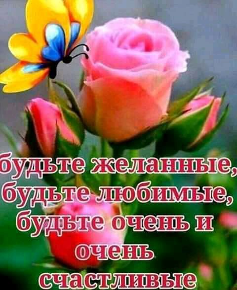 Лгипвые