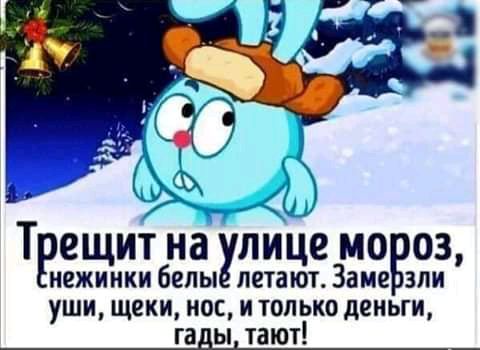 ііРСЩИТ на улице МО 03 нежиики белы летают Заме зли уши щеки нос итолькоденыи га ы тают