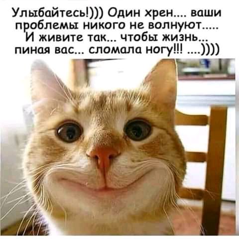 Улыбайтесь Один хрен ваши проблемы никого не волнуют И живите так чтобы жизн пиная вас сломала нгу