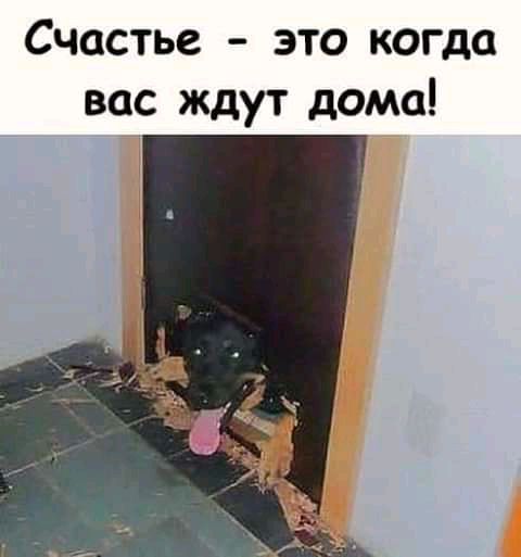 Счастье это когда вас ждут дома