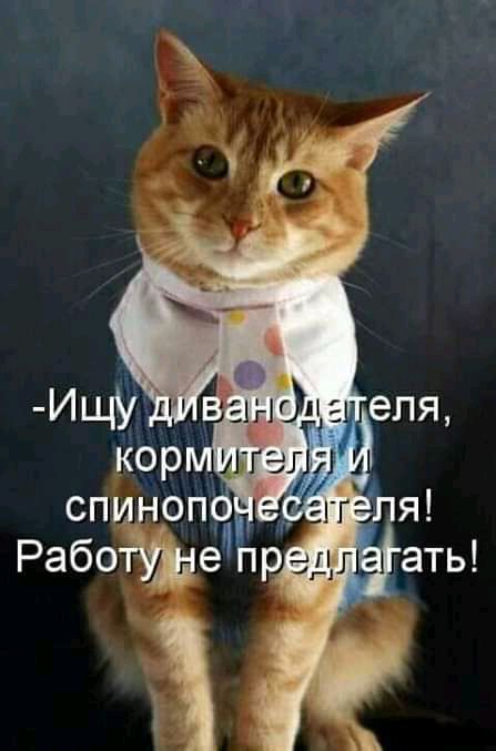 спиноп га я Работушде